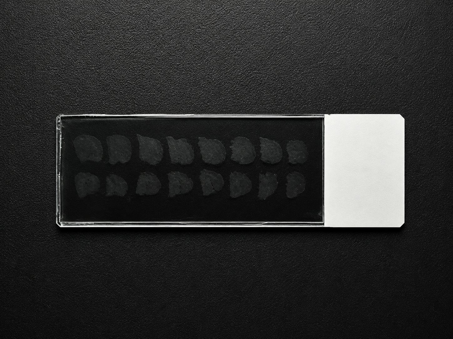 Multiplexed ATLAS